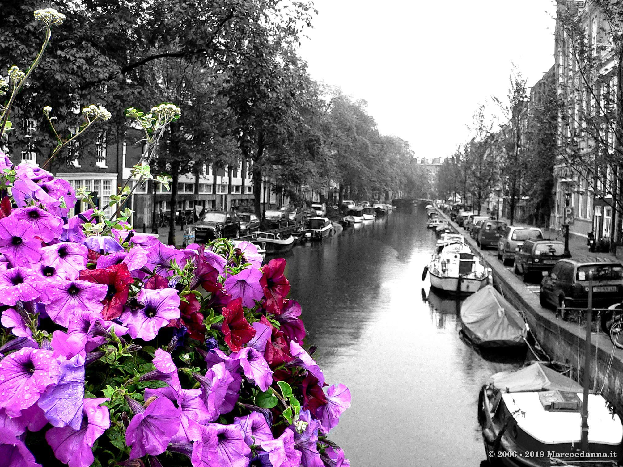 Amsterdam 2