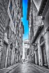 Florence