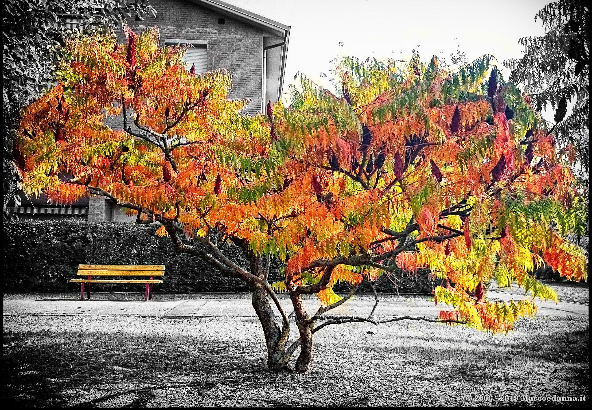 Autumn 2018