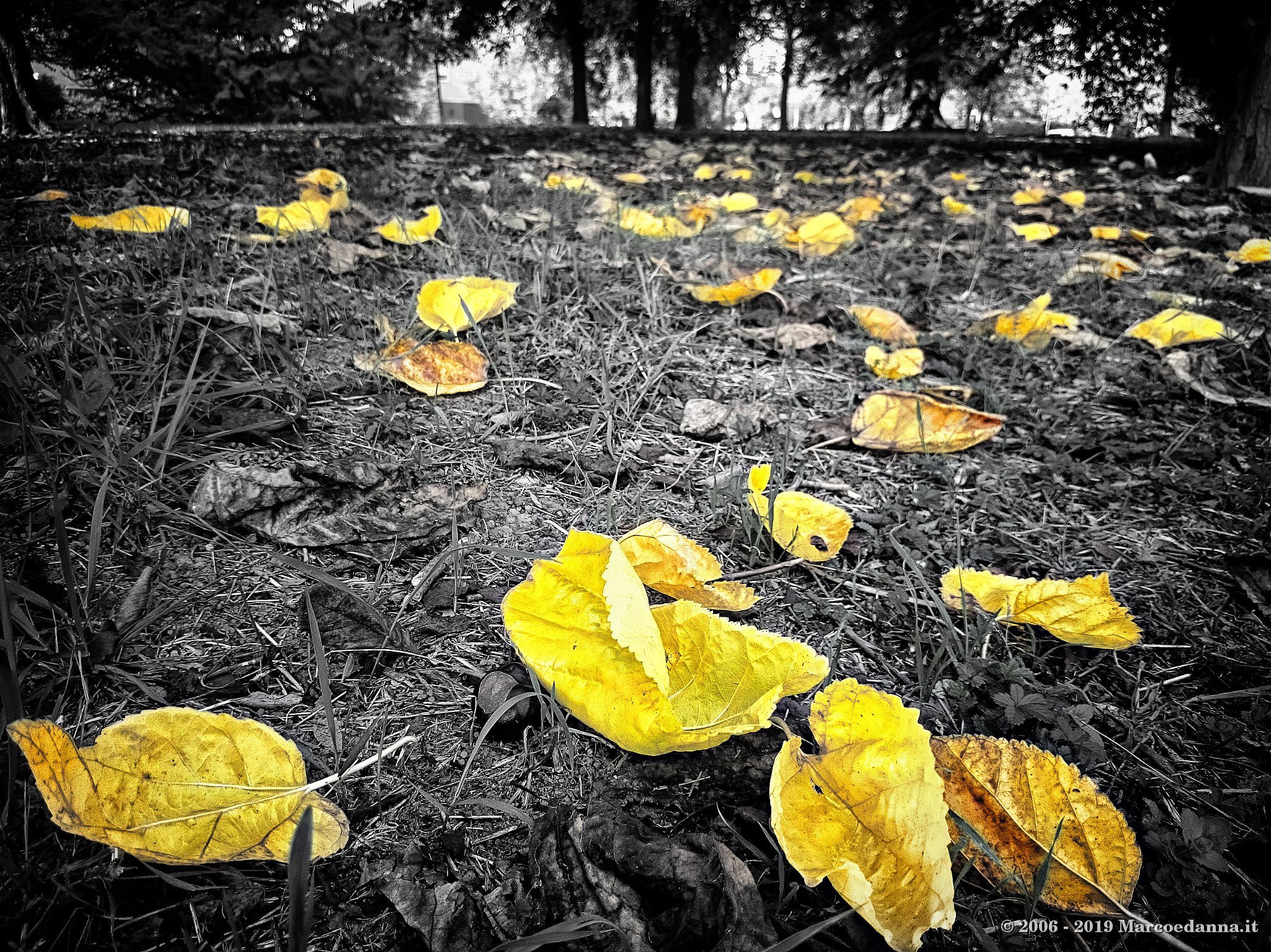 Autumn 2018 2