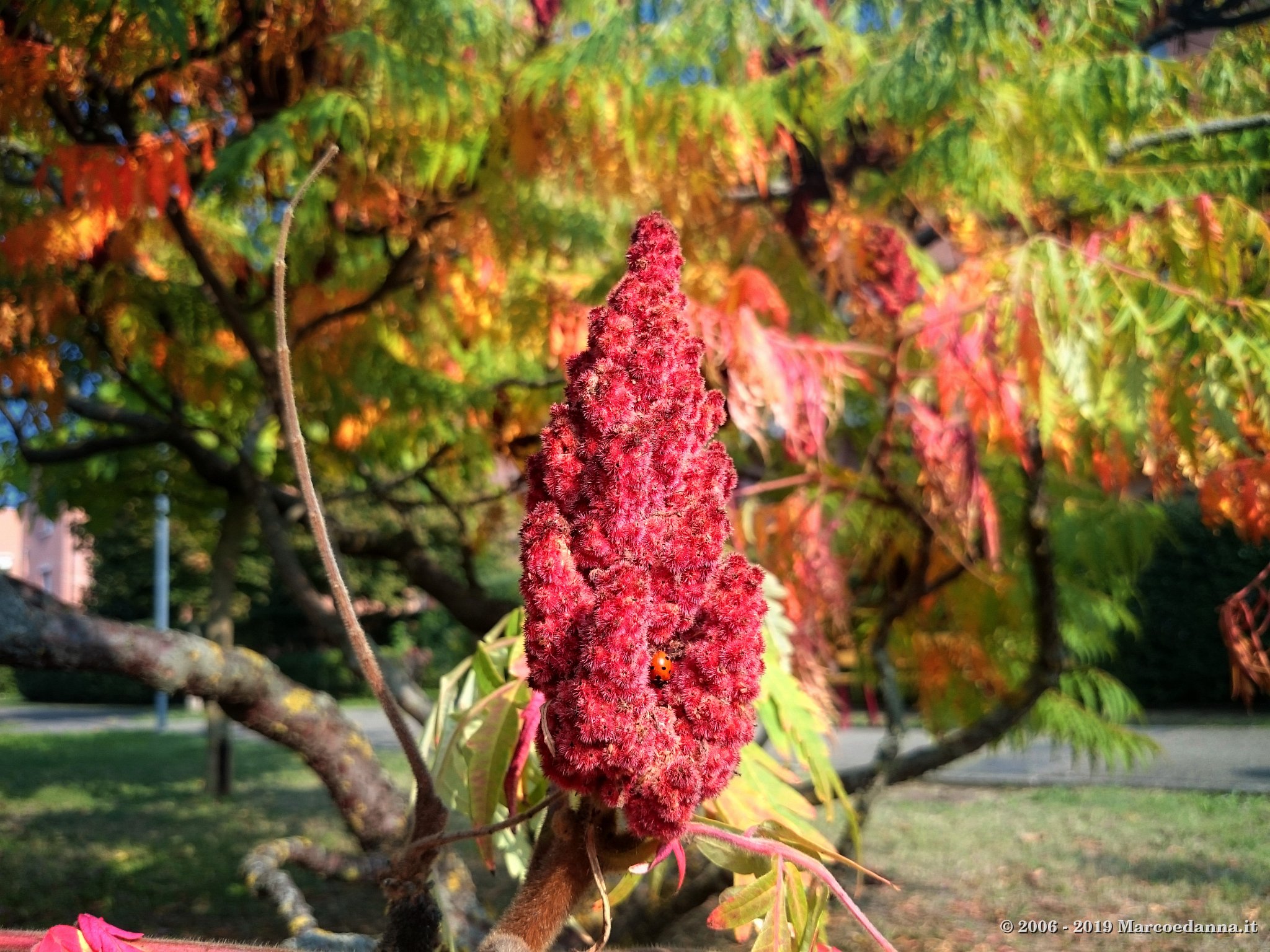 Autumn 2018 3