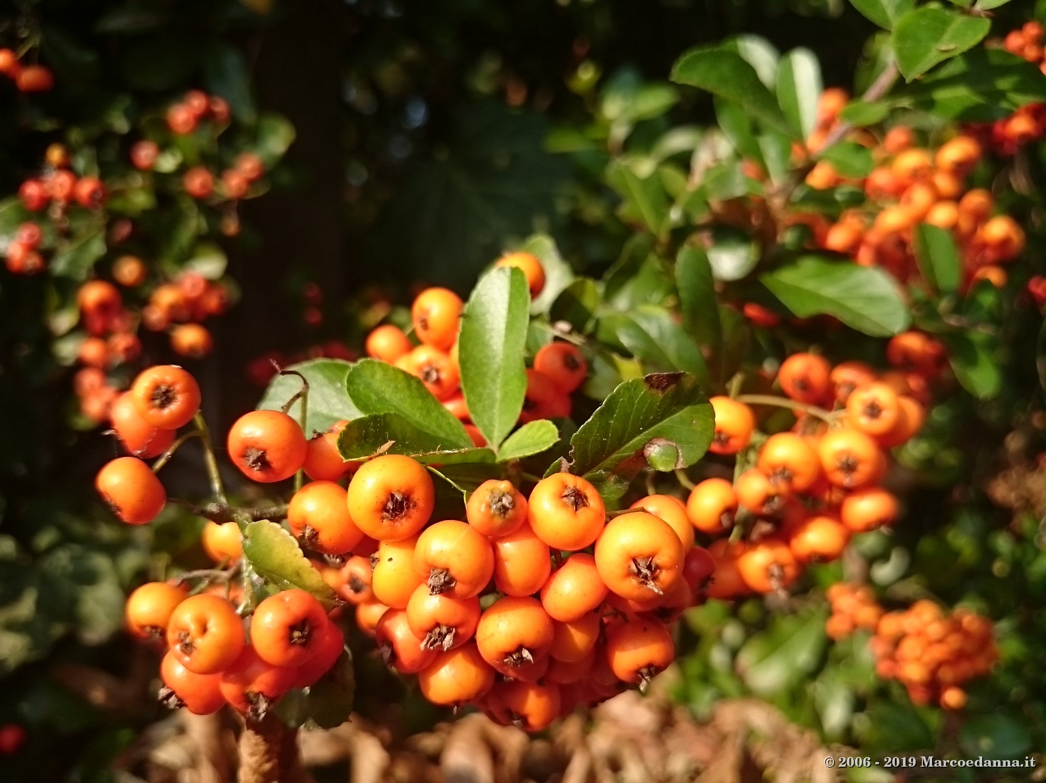 Autumn 2018 4